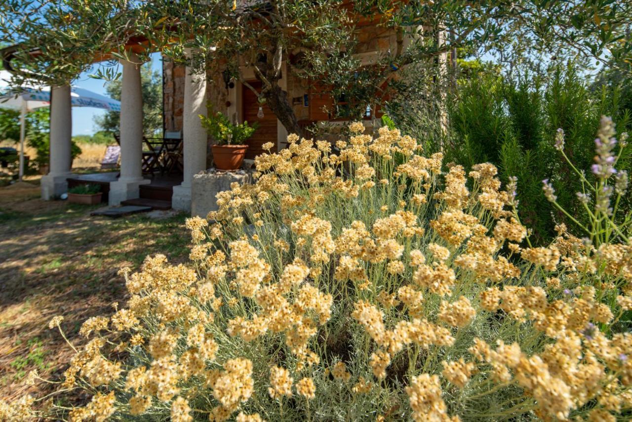 Flaveico Holiday home *